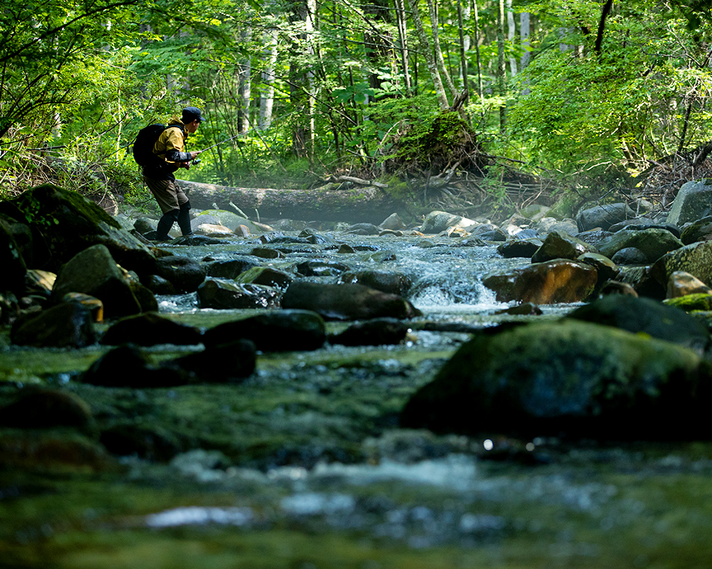 トラウトフィールドテスター