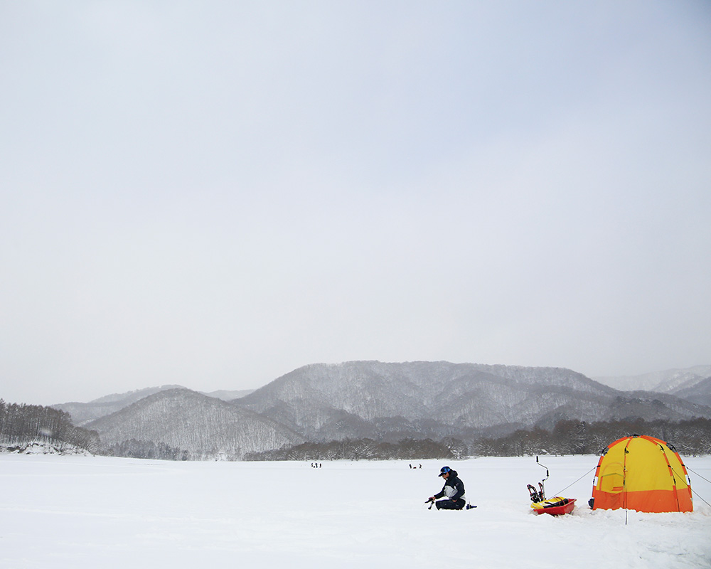 ワカサギフィールドテスター