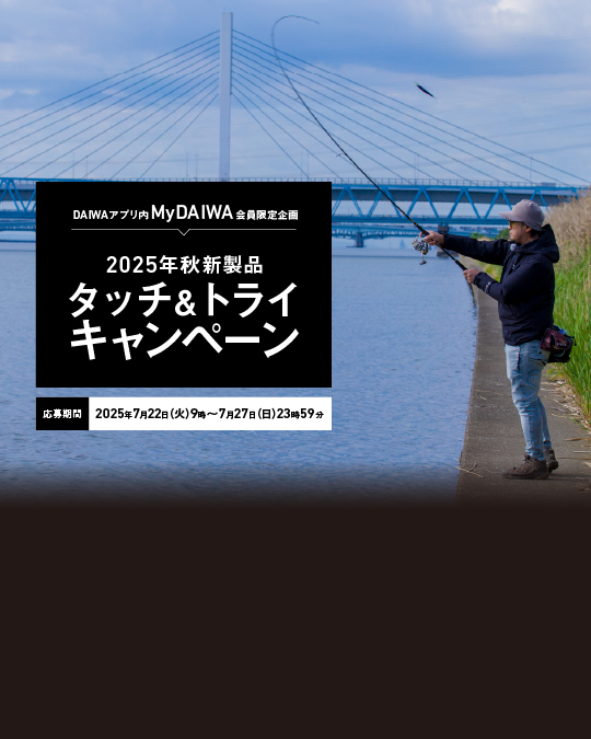 キャンペーン