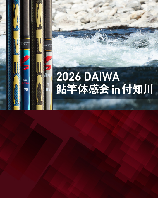 DAIWA TOP