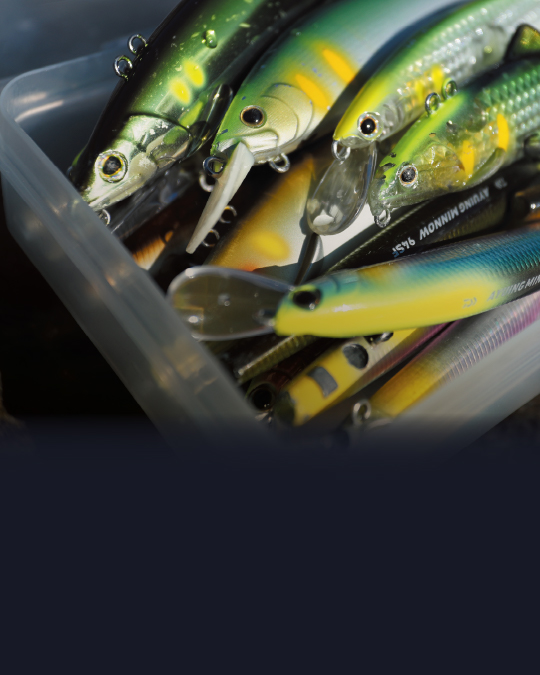 DAIWA TOP