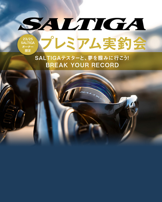 DAIWA TOP