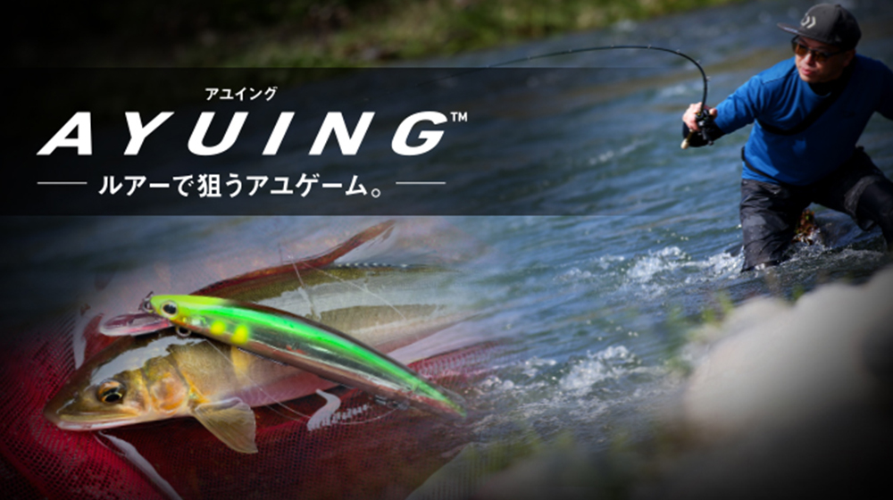 鮎｜釣り情報｜DAIWA