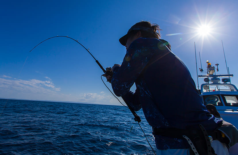 船｜釣り情報｜DAIWA