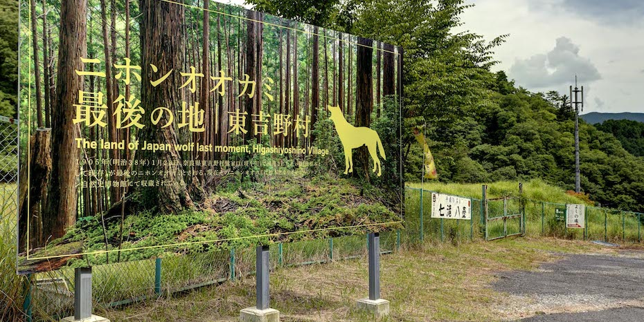 水源の村の未来を変える二つの試み(紀の川吉野川源流高見川)