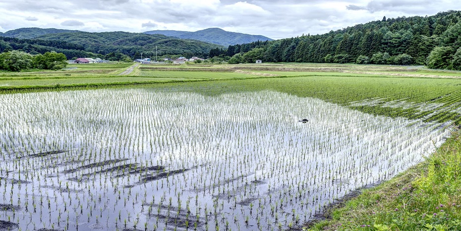 東北の宿場町にブランド米が生まれた理由（阿武隈川水系白石川源流）