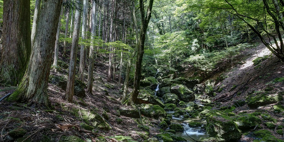 百名山と名水を守る人間力と地域力(荒川水系小森川)