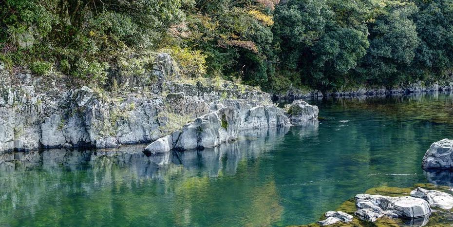 絶滅危惧種が棲む川で高校生が泣いた （高津川源流）