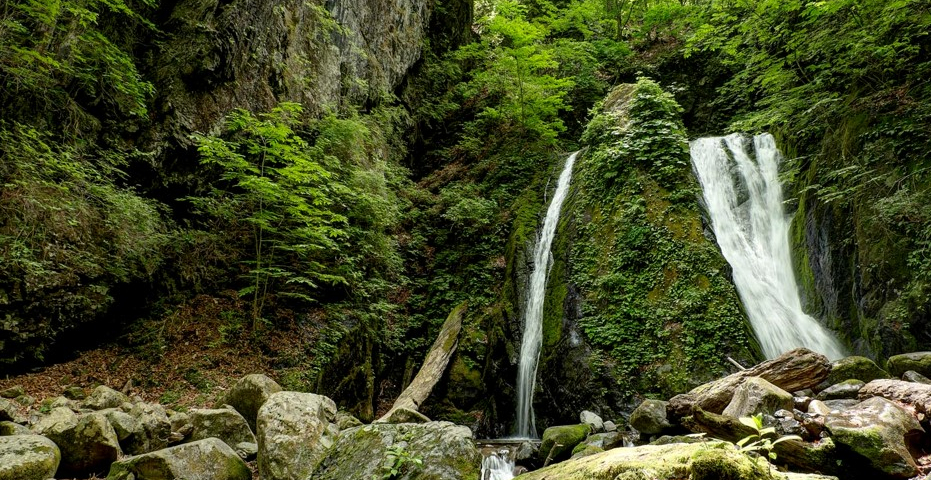源流の村からタイニーハウスムーブメントの予感