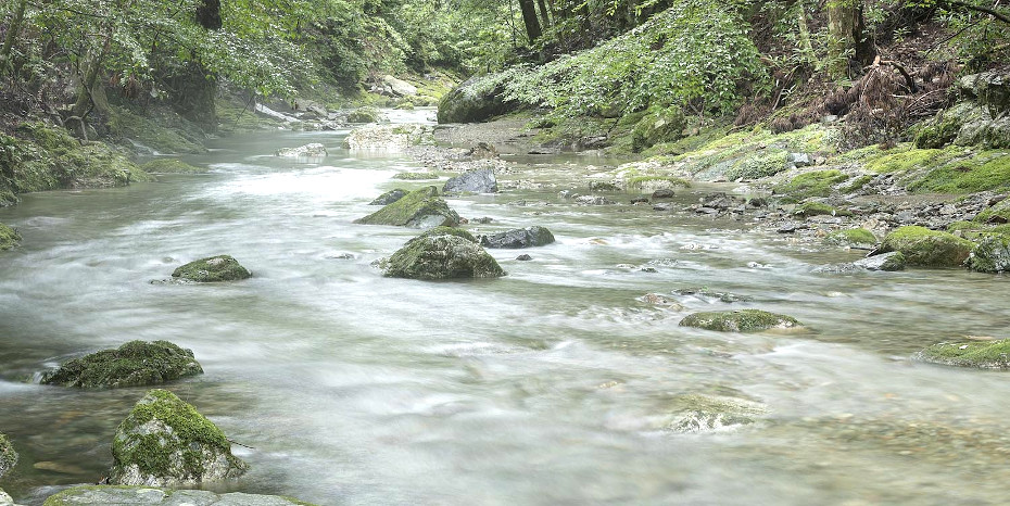 源流の郷、全国各地の源流域を訪ねて…