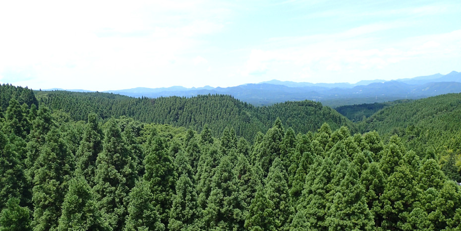 湧水の国を守る小国町森林組合の挑戦(筑後川源流)
