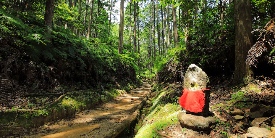 世界遺産のまちの森づくり（和歌山県田辺市）