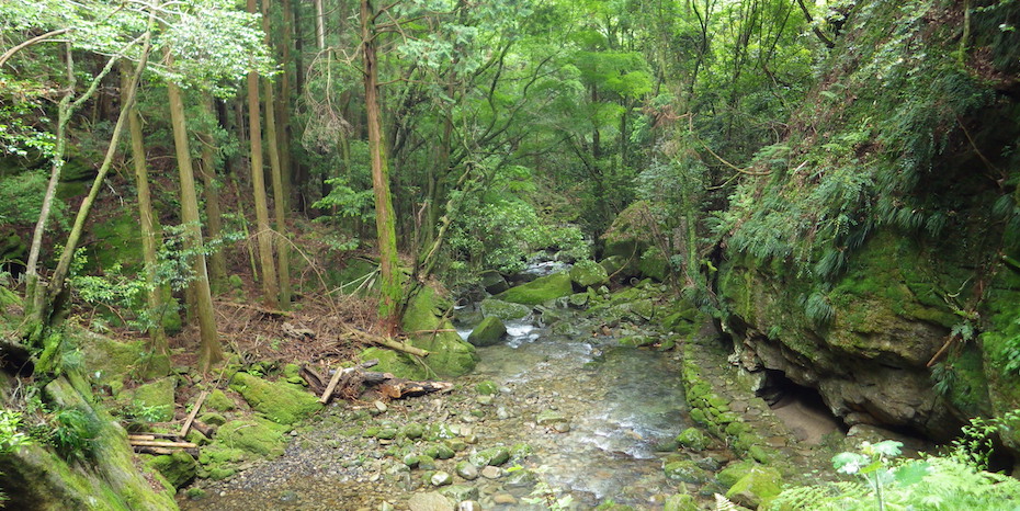 源流の郷ならではの環境教育（和歌山県田辺市）