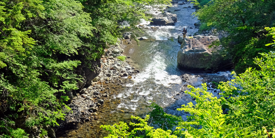 新たな層を取り込む丹波山村の源流観光 (多摩川源流 丹波川)