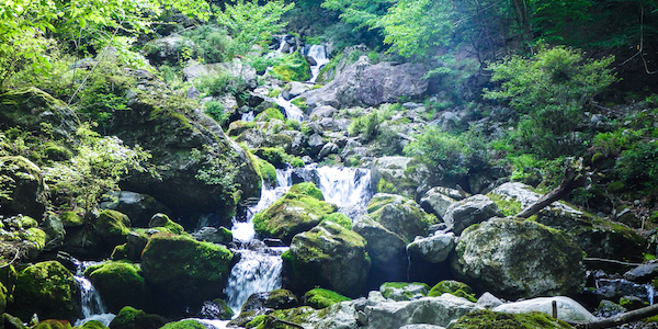 世界が認める村、その自然活用の努力  (熊野川水系北山川源流)