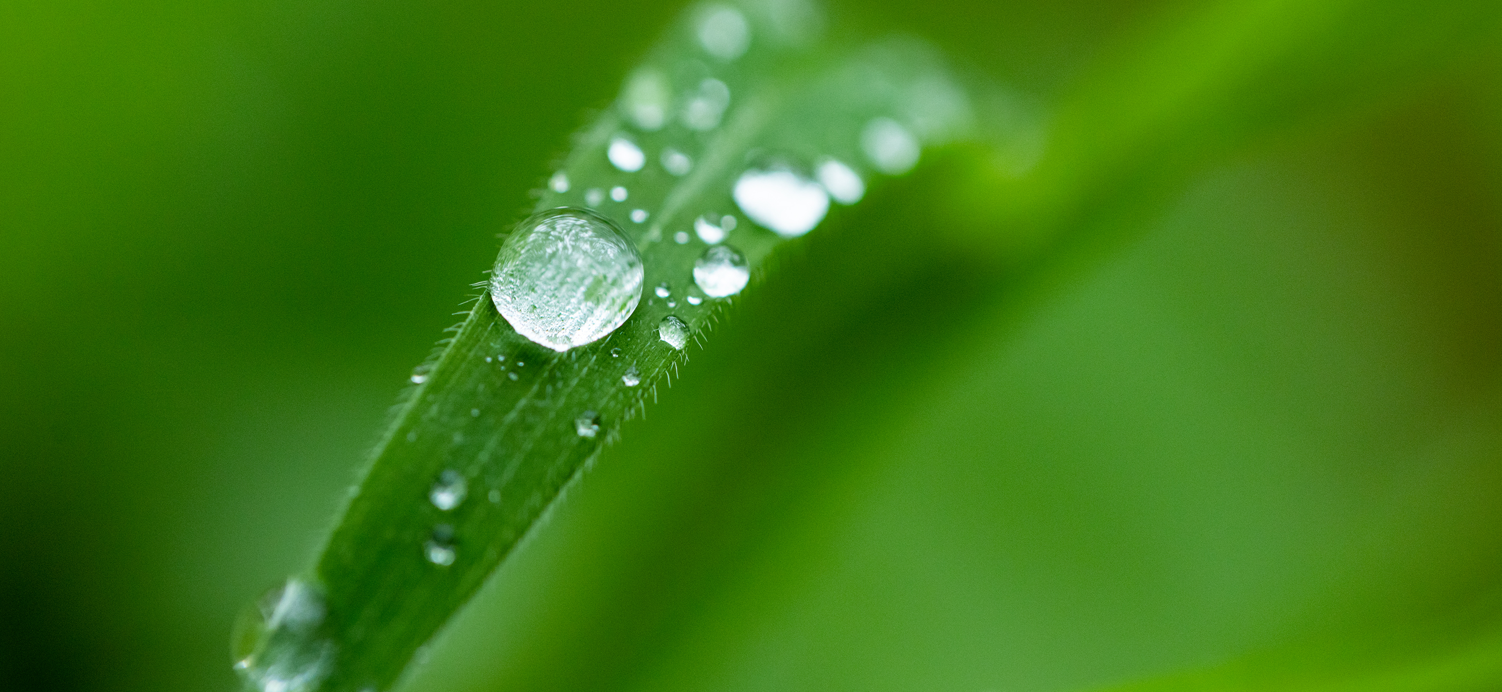 BE EARTH-FRIENDLY