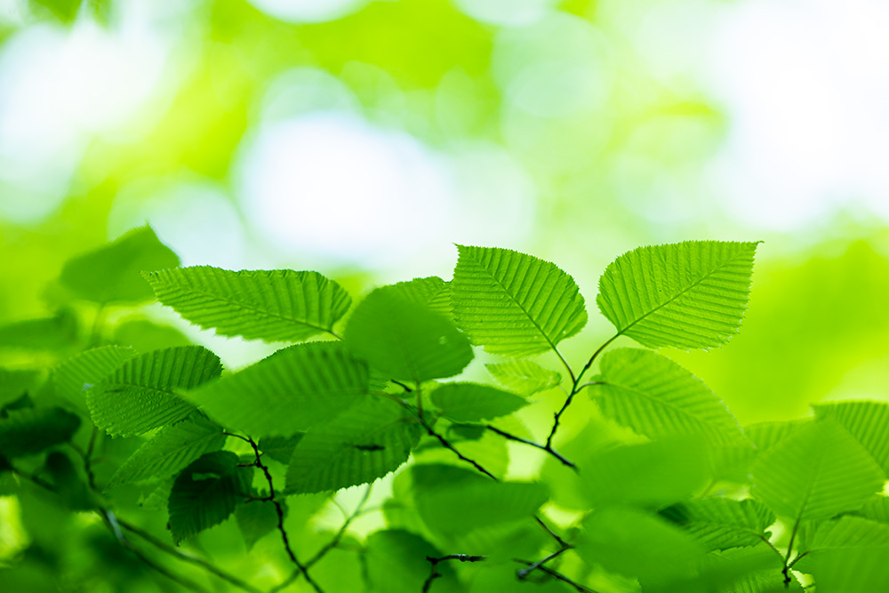 BE EARTH-FRIENDLY