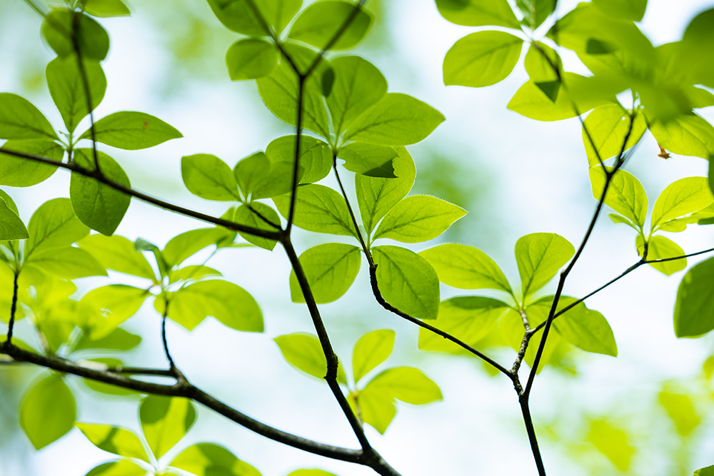 BE EARTH-FRIENDLY