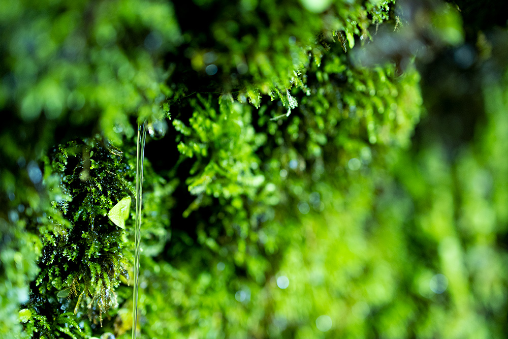 BE EARTH-FRIENDLY