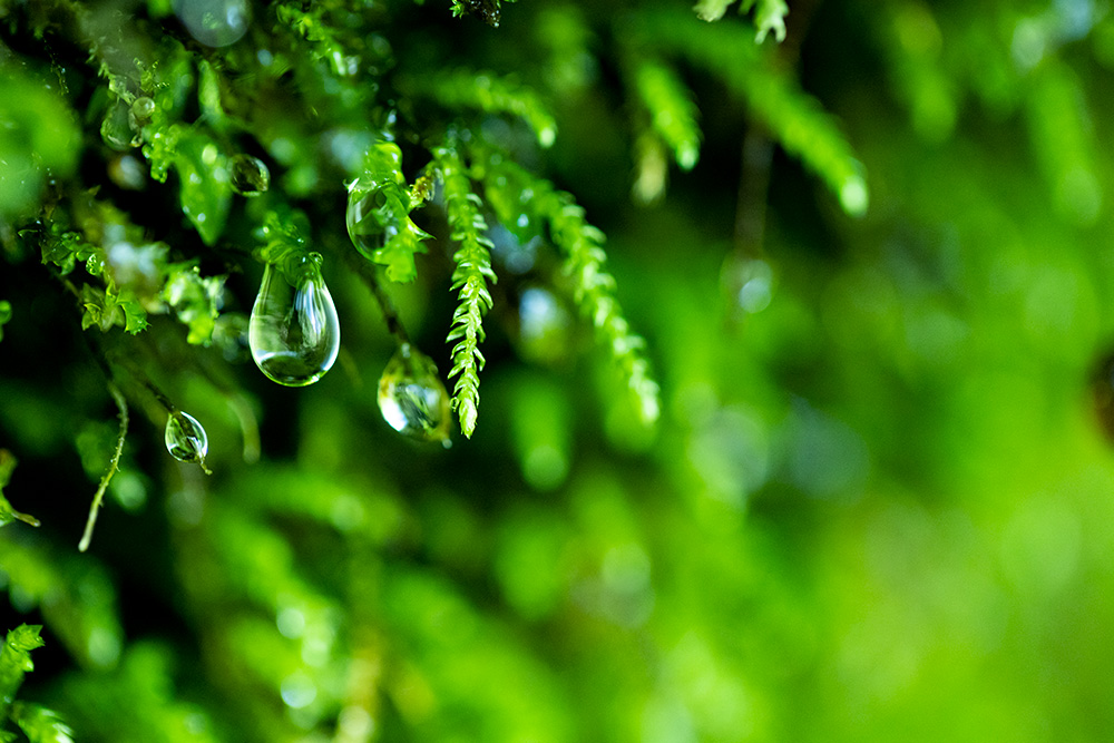 BE EARTH-FRIENDLY