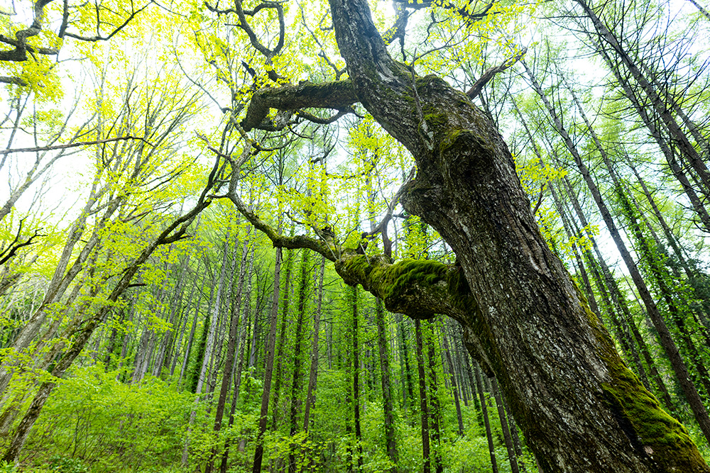 BE EARTH-FRIENDLY