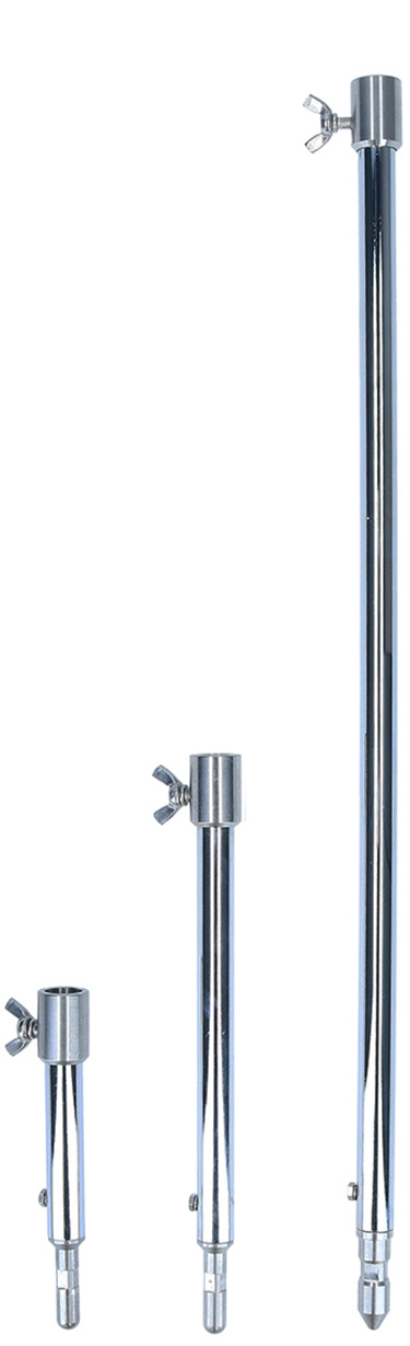 小原流　ハラHisa 20230913 檜扇の実 鶏頭 小菊 木苺 尾花 Blackberry lily