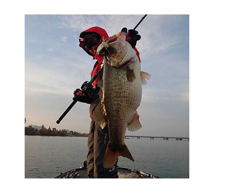 モンスター ブレイブ Z(ライン)｜DAIWA