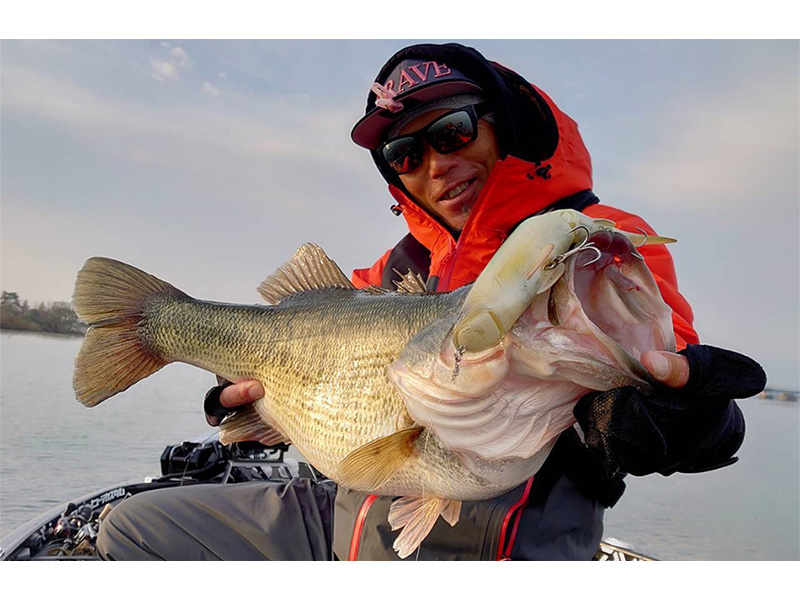 モンスター ブレイブ Z(ライン)｜DAIWA