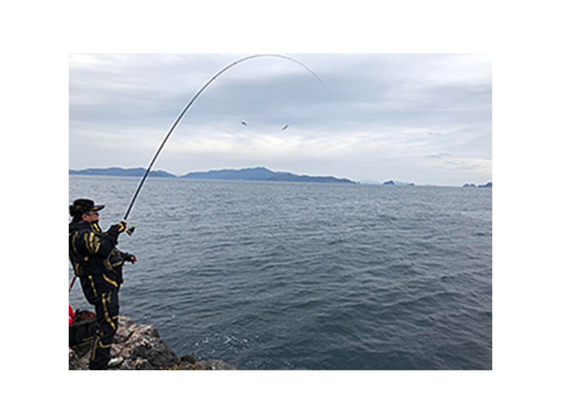 磯デュラセンサー×8SS＋Si2(ライン)｜DAIWA