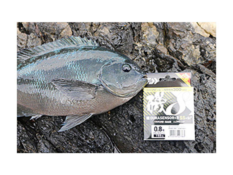 ロッド PE evolution PE-902L メジャークラフト PEエボリューション PE-902ML ｜アウトドア