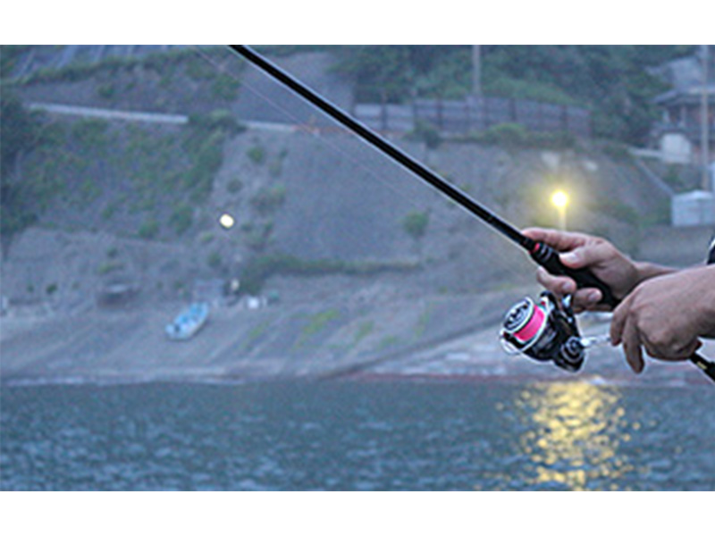 最終値下げ！　超希少　ビルマ産　グラデーション翡翠　５５ｇ NEEDY GIRL OVERDOSE Luminasta “超絶最かわてんしちゃん