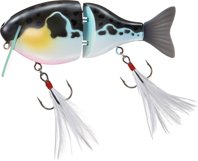 DAIWA - ふくすけ ふく魚／ちびふく魚(ルアー)｜DAIWA