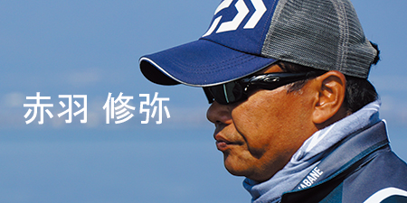 スティーズ ホグ(ルアー)｜DAIWA