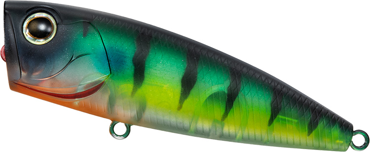 ポッパー　バルサ img_3940-scaled.jpg?resize=728