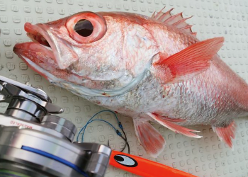 ダイワ(DAIWA) メタルジグ ソルティガ TGベイトロジー 330g オレンジゼブラグロー ルアー ダイワ ソルティガ TGベイト ロジー 330g ライムゼブラグロー