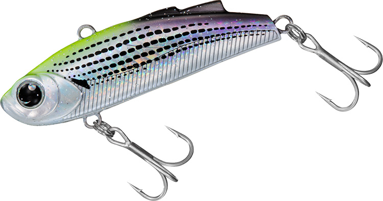 MT_Minient_AdelNightKonoshiro.