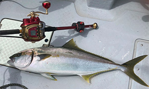 シーボーグ 500MJ-AT(リール)｜DAIWA