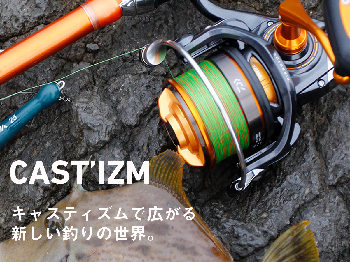 DAIWA 19 CASTIZM 25 QDスピニングリール Amazon | ダイワ(DAIWA) スピニングリール(投げ・遠投) 19