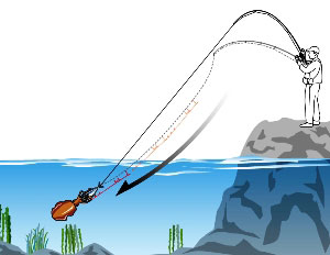 DAIWA - アオリマチック　BR LT 3000 リアドラグ　ヤエン　泳がせ　ダイワ　春イカ アオリマチック BR LT3000 浅溝タイプ – フィッシングマックス