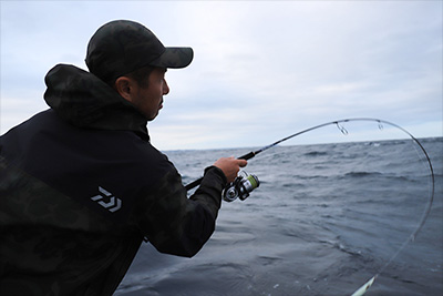 セルテート SW 8000/10000/14000/18000(リール)｜DAIWA