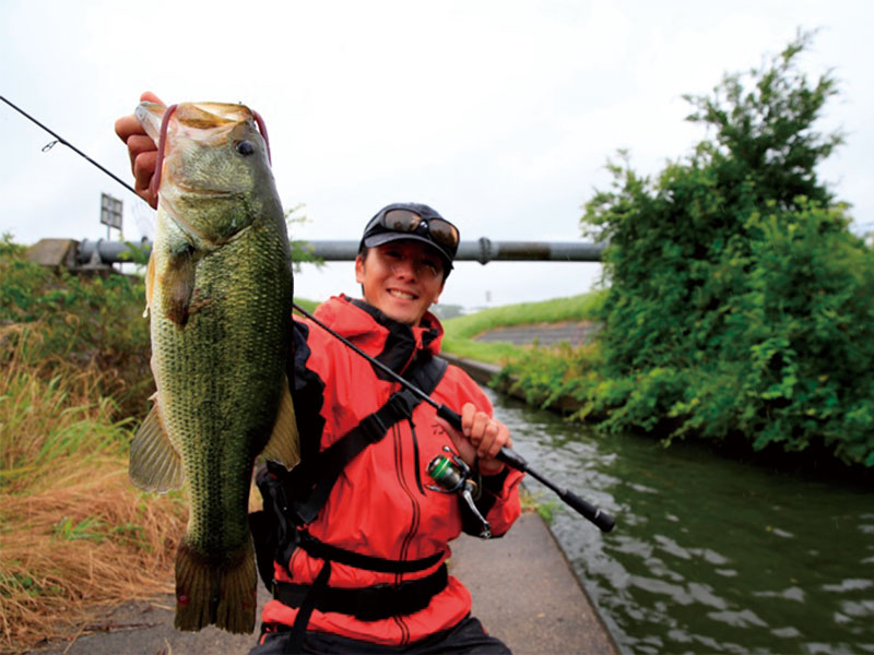 スティーズ ショアコンペティション（スピニングモデル）(ロッド
