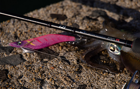 エメラルダス ストイスト RT(ロッド)｜DAIWA