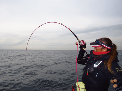 バイパースティック（2ピースモデル）(ロッド)｜DAIWA