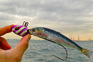 テンヤタチウオ X(ロッド)｜DAIWA