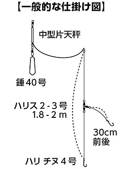 ライトアマダイ X(ロッド)｜DAIWA
