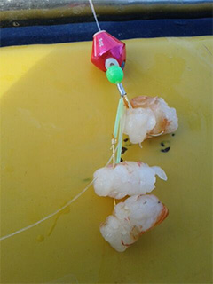 湾フグ X(ロッド)｜DAIWA