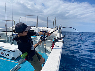 DAIWA ダイワ GOUIN ゴウイン 落とし込みロッド　H-243 Amazon | ダイワ(DAIWA) ゴウイン落とし込み MH-243・R グリーン