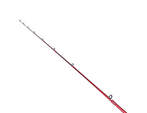 イイダコ(ロッド)｜DAIWA