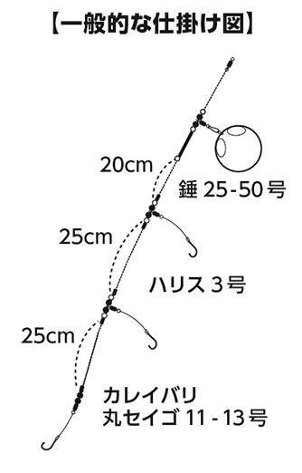 カレイ X(ロッド)｜DAIWA