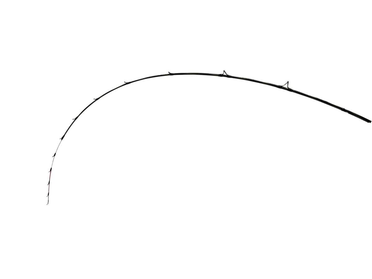 極鋭 タチウオテンヤSP EX(ロッド)｜DAIWA